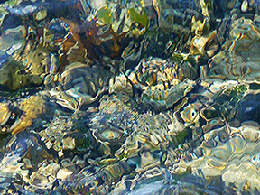 Underwater - Bridges Beach